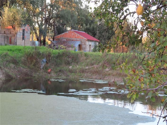 Image No.29-Propriété à vendre à Castelo Branco