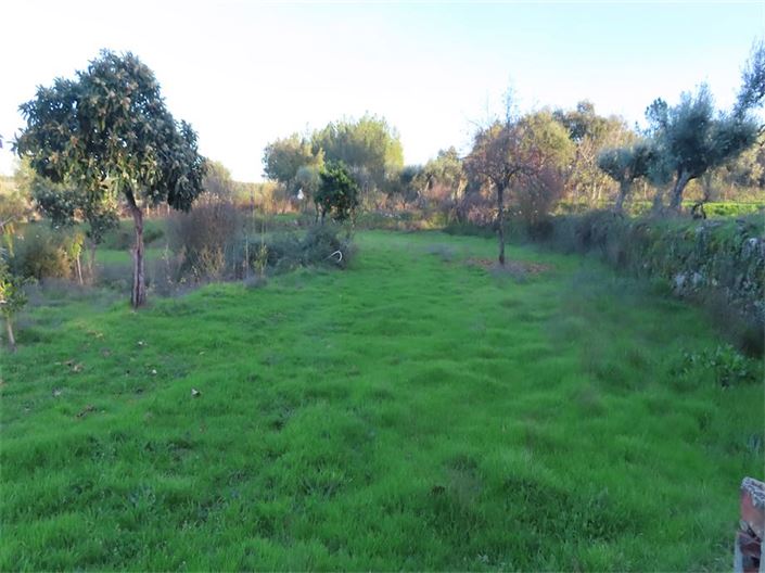 Image No.3-Propriété à vendre à Castelo Branco