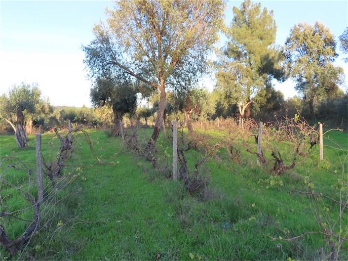 Image No.30-Propriété à vendre à Castelo Branco