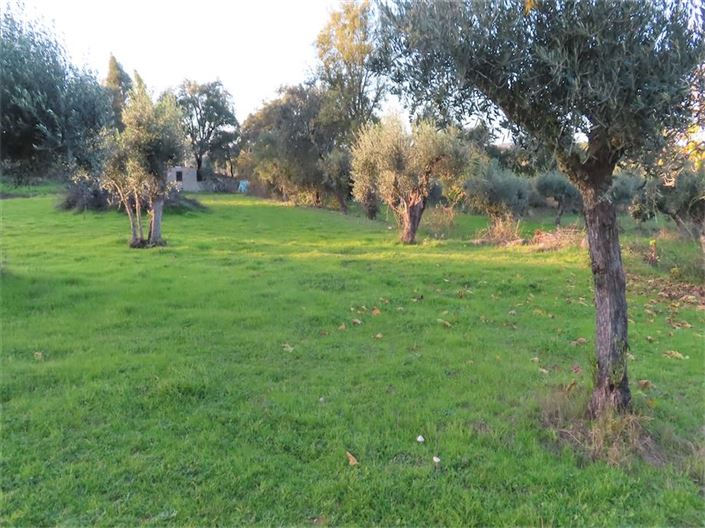 Image No.31-Propriété à vendre à Castelo Branco