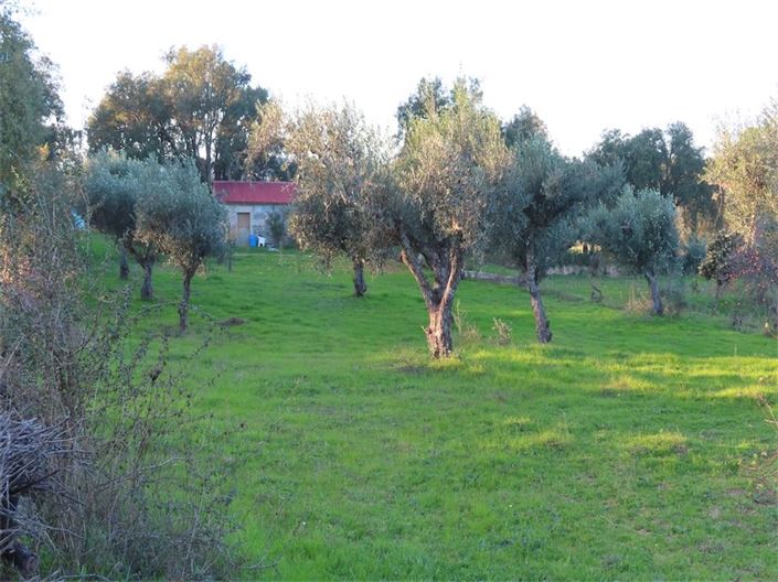 Image No.33-Propriété à vendre à Castelo Branco