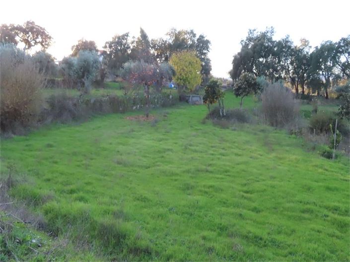 Image No.35-Propriété à vendre à Castelo Branco