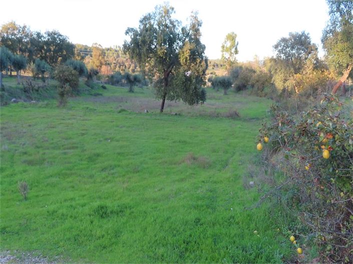 Image No.36-Propriété à vendre à Castelo Branco