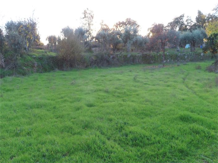 Image No.37-Propriété à vendre à Castelo Branco