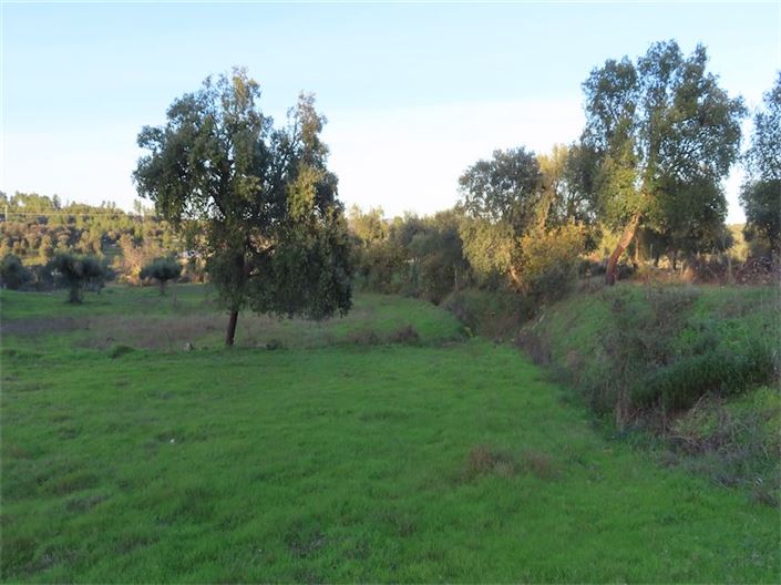 Image No.38-Propriété à vendre à Castelo Branco