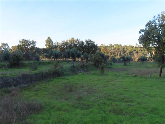 Image No.39-Propriété à vendre à Castelo Branco