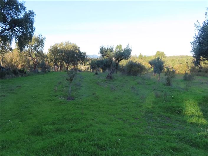 Image No.4-Propriété à vendre à Castelo Branco