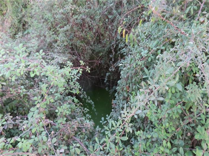 Image No.40-Propriété à vendre à Castelo Branco