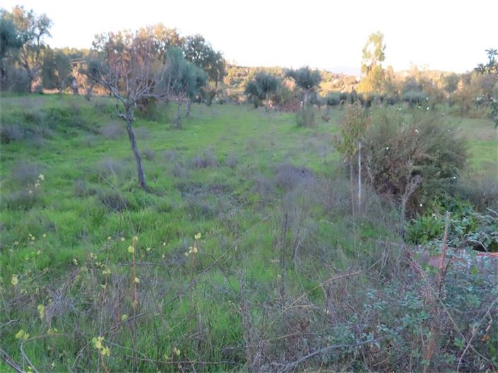 Image No.41-Propriété à vendre à Castelo Branco