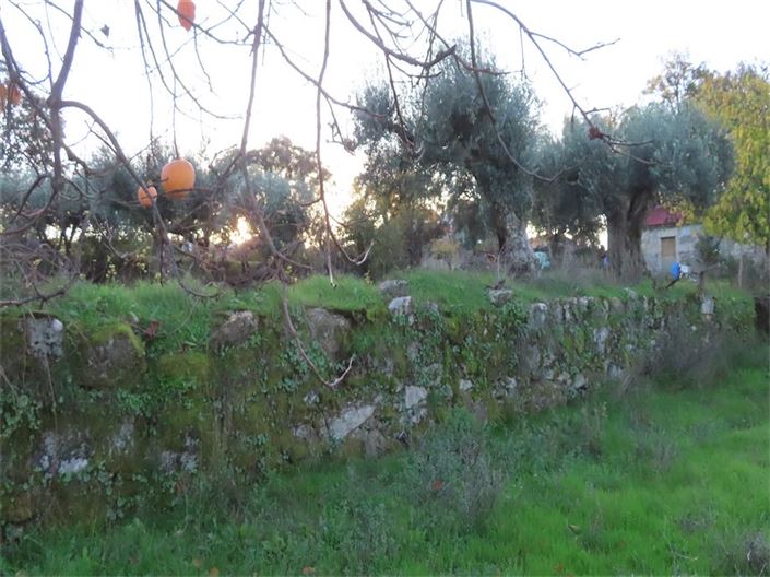 Image No.43-Propriété à vendre à Castelo Branco