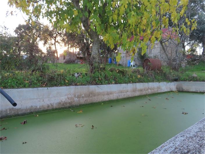 Image No.44-Propriété à vendre à Castelo Branco