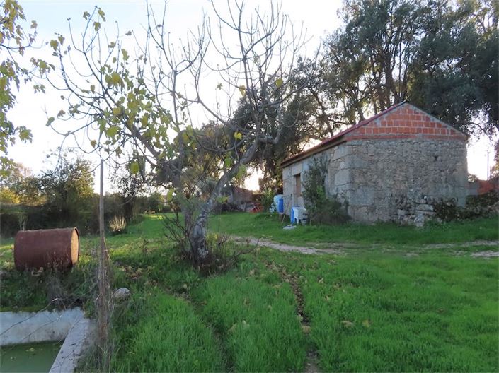 Image No.5-Propriété à vendre à Castelo Branco