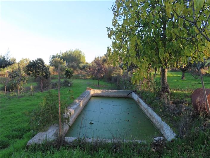 Image No.6-Propriété à vendre à Castelo Branco