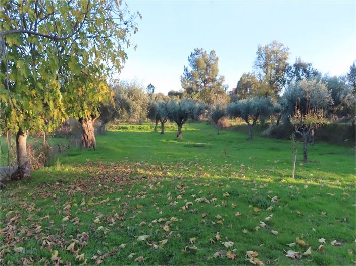 Image No.7-Propriété à vendre à Castelo Branco