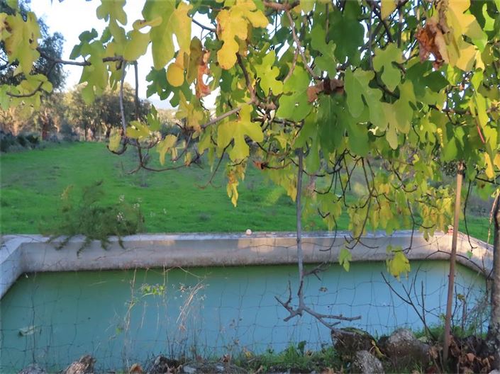 Image No.8-Propriété à vendre à Castelo Branco