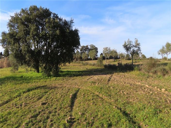 Image No.16-Propriété à vendre à Castelo Branco