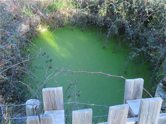 Image No.20-Propriété à vendre à Castelo Branco