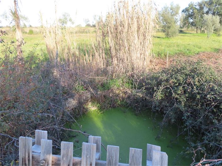 Image No.21-Propriété à vendre à Castelo Branco