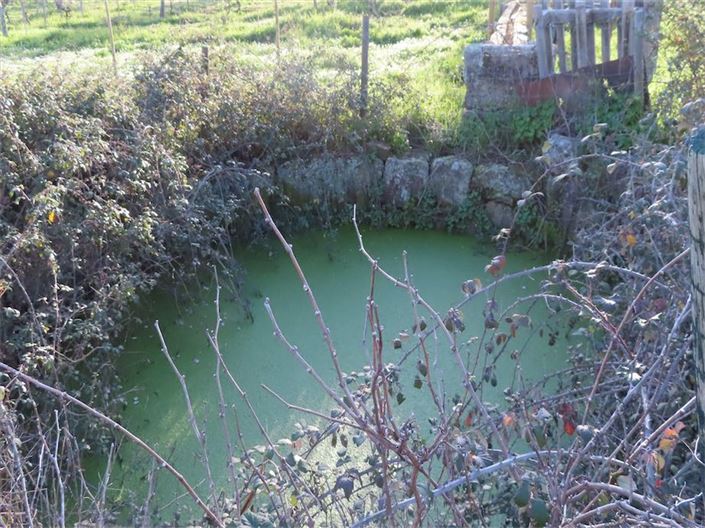 Image No.24-Propriété à vendre à Castelo Branco