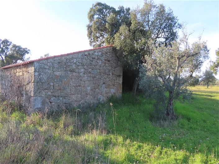 Image No.4-Propriété à vendre à Castelo Branco