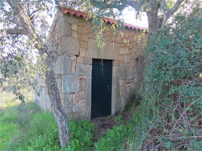 Image No.5-Propriété à vendre à Castelo Branco