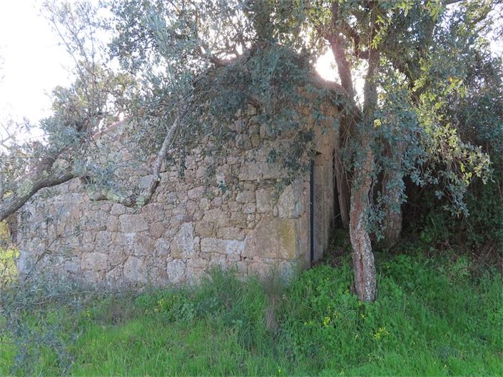 Image No.6-Propriété à vendre à Castelo Branco