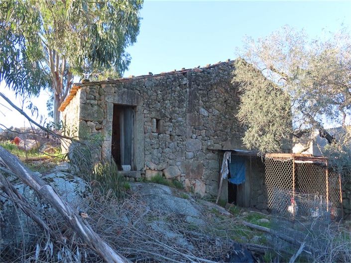 Image No.10-Propriété à vendre à Castelo Branco