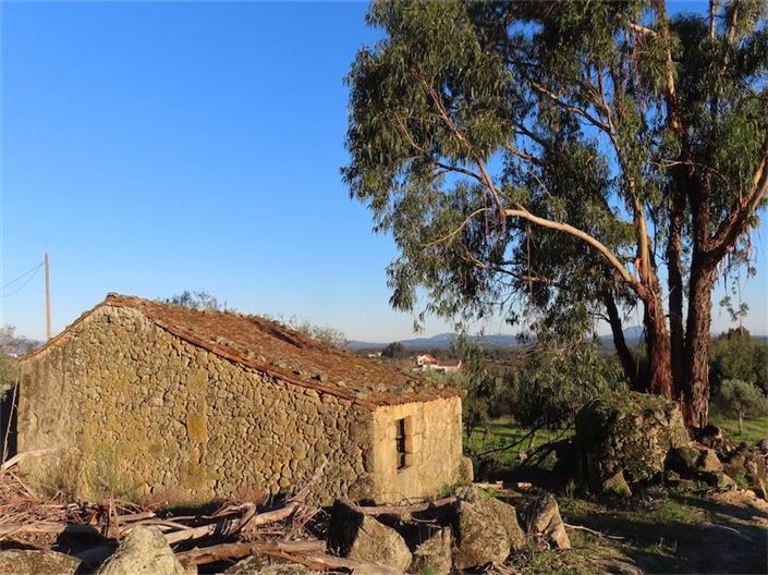 Image No.11-Propriété à vendre à Castelo Branco