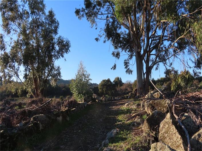 Image No.14-Propriété à vendre à Castelo Branco