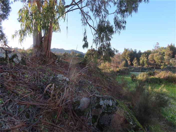 Image No.16-Propriété à vendre à Castelo Branco