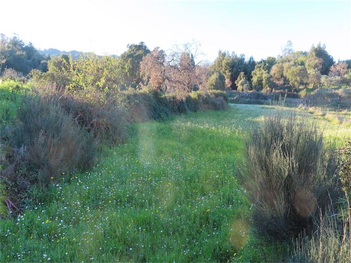 Image No.17-Propriété à vendre à Castelo Branco