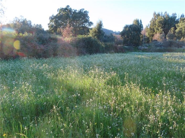 Image No.18-Propriété à vendre à Castelo Branco