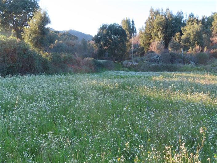 Image No.19-Propriété à vendre à Castelo Branco