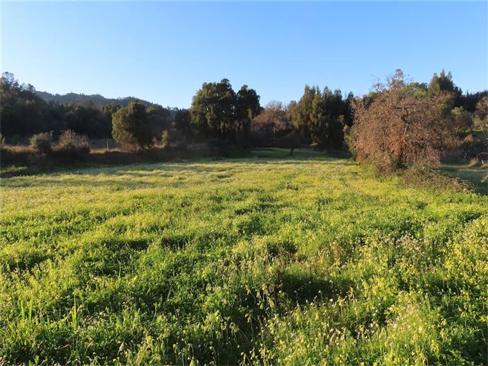 Image No.20-Propriété à vendre à Castelo Branco