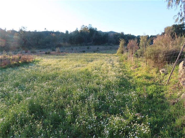 Image No.21-Propriété à vendre à Castelo Branco