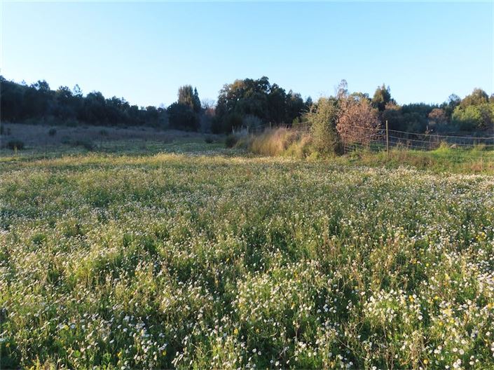 Image No.22-Propriété à vendre à Castelo Branco