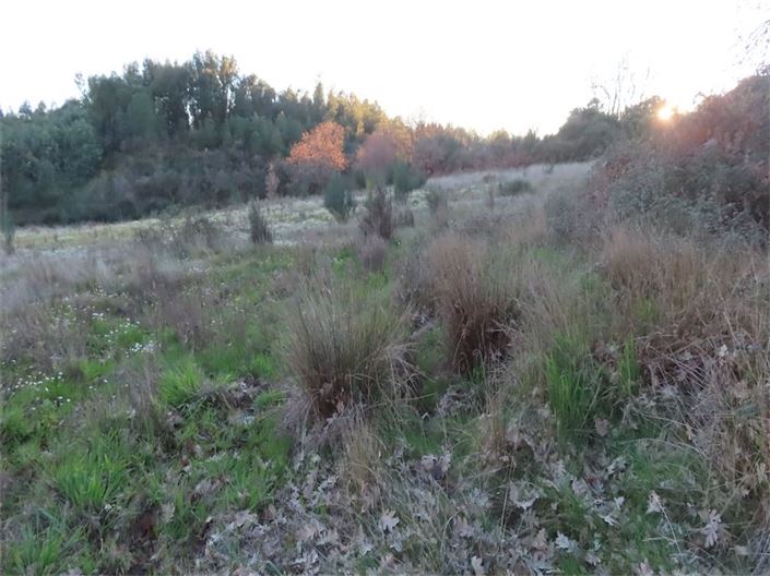 Image No.23-Propriété à vendre à Castelo Branco