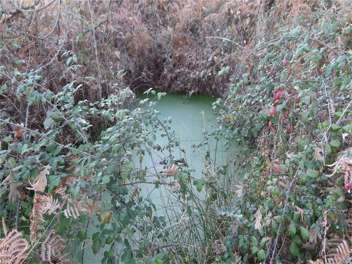 Image No.24-Propriété à vendre à Castelo Branco