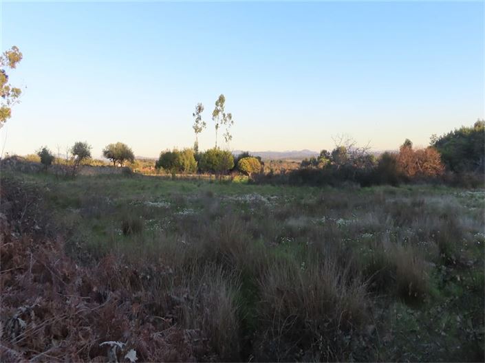 Image No.25-Propriété à vendre à Castelo Branco