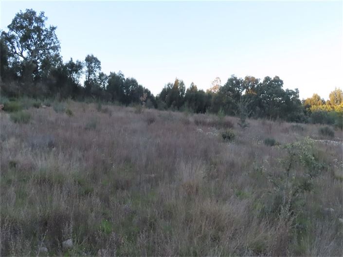 Image No.28-Propriété à vendre à Castelo Branco