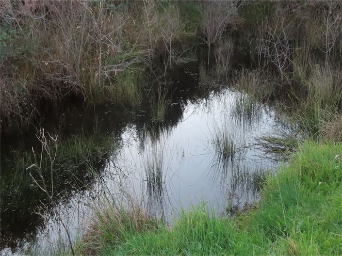 Image No.3-Propriété à vendre à Castelo Branco