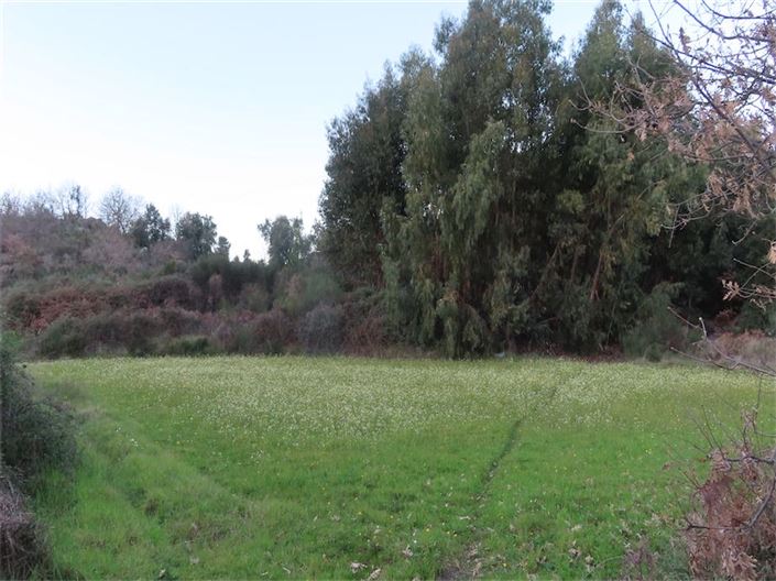 Image No.30-Propriété à vendre à Castelo Branco