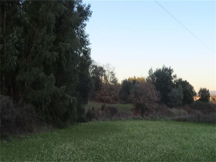 Image No.32-Propriété à vendre à Castelo Branco