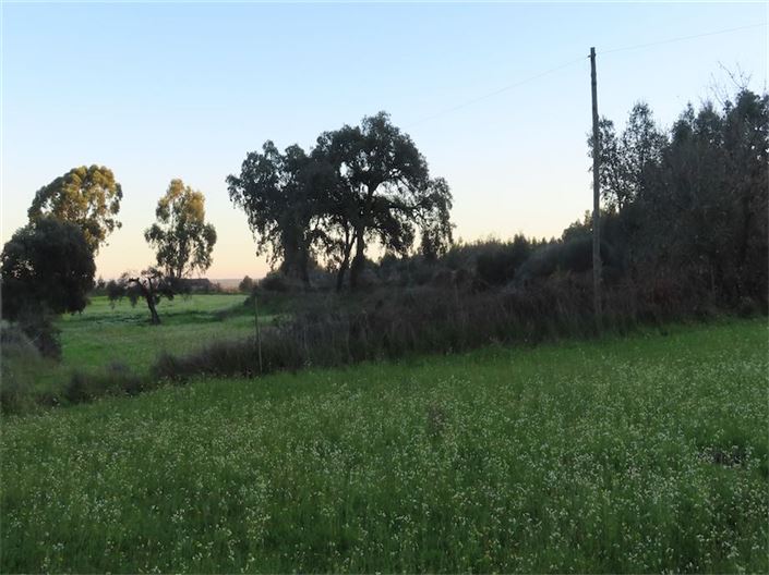 Image No.33-Propriété à vendre à Castelo Branco