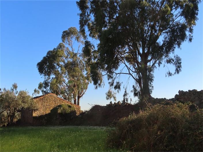 Image No.4-Propriété à vendre à Castelo Branco