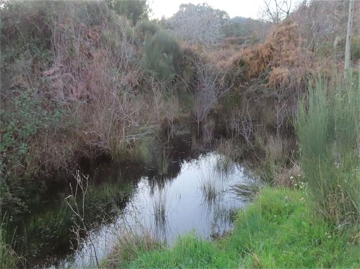 Image No.5-Propriété à vendre à Castelo Branco