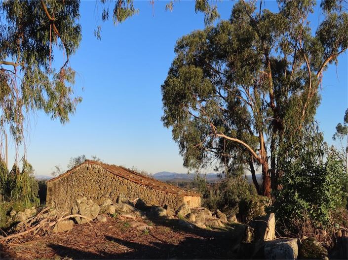 Image No.6-Propriété à vendre à Castelo Branco