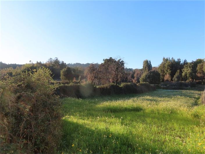 Image No.7-Propriété à vendre à Castelo Branco