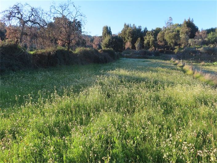 Image No.8-Propriété à vendre à Castelo Branco