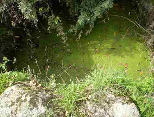 Image No.3-Propriété à vendre à Castelo Branco